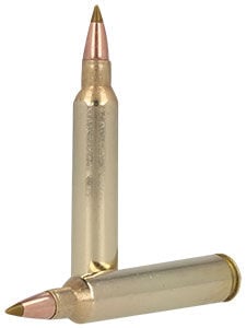 204 Ruger Cartridges